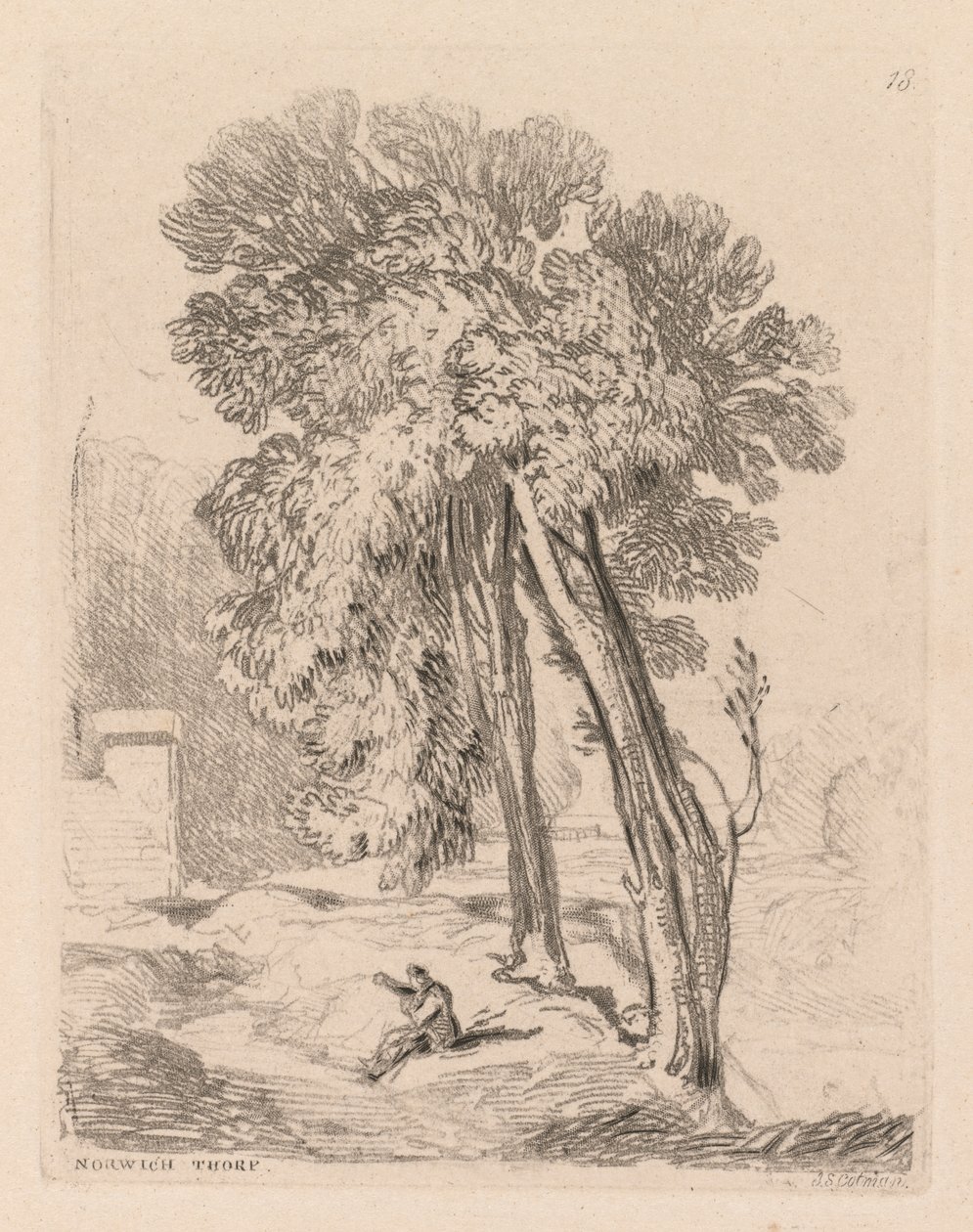 Liber Studiorum: Plate 18, Trees at Norwich Thorp, Norfolk od John Sell Cotman