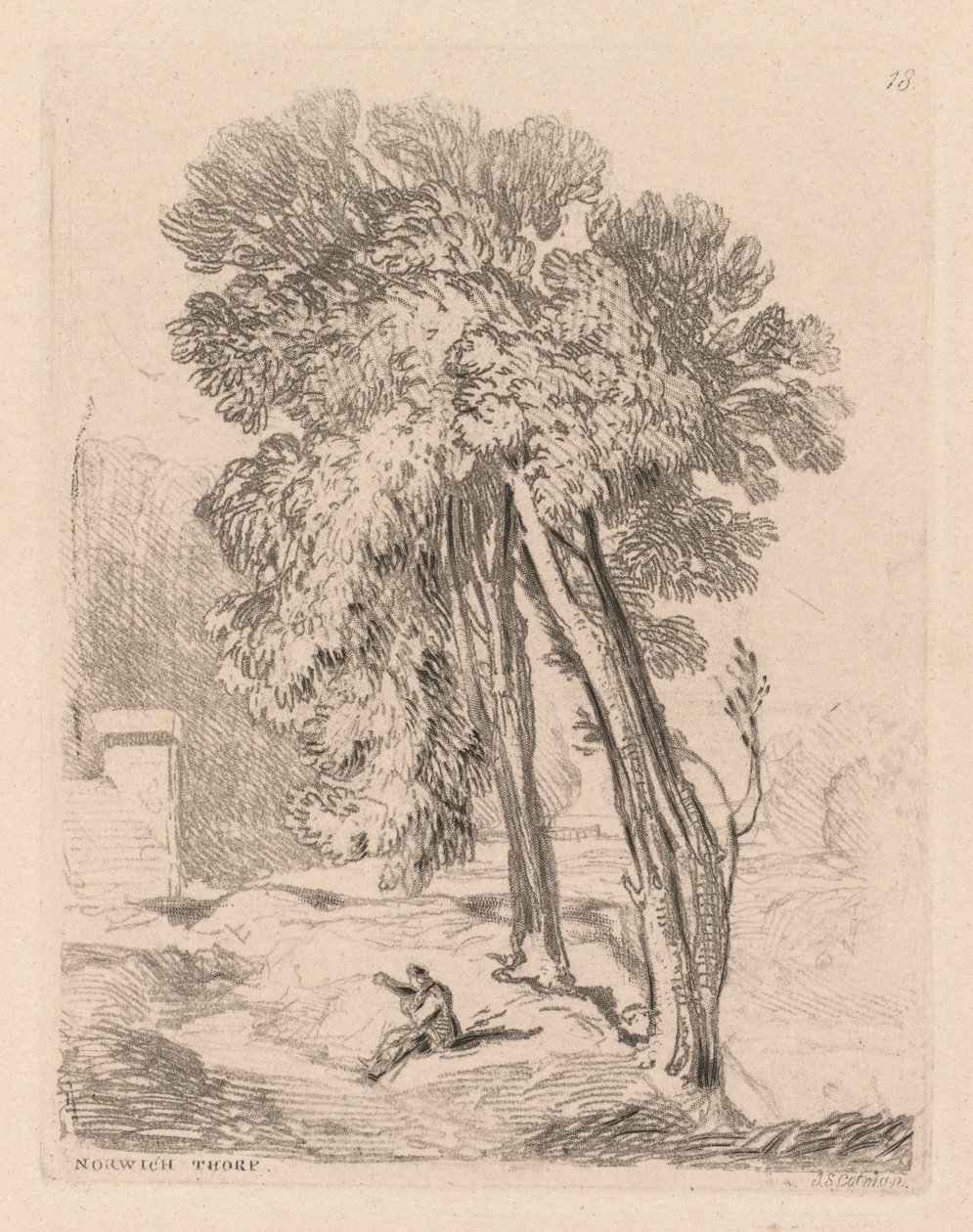 Liber Studiorum: Plate 18, Trees at Norwich Thorp, Norfolk, 1838. od John Sell Cotman