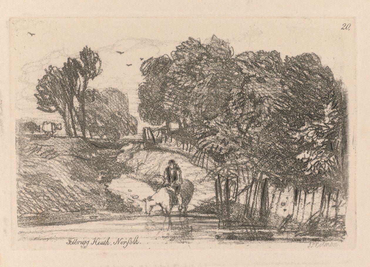 Liber Studiorum: Plate 20, Felbrigg Heath, Norfolk od John Sell Cotman