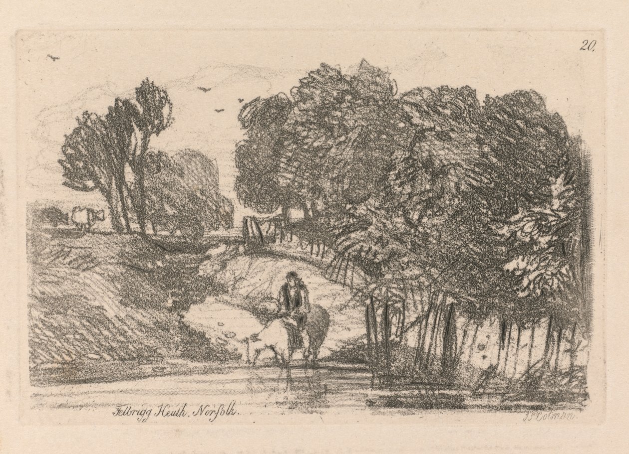 Liber Studiorum: Plate 20, Felbrigg Heath, Norfolk, 1838. od John Sell Cotman
