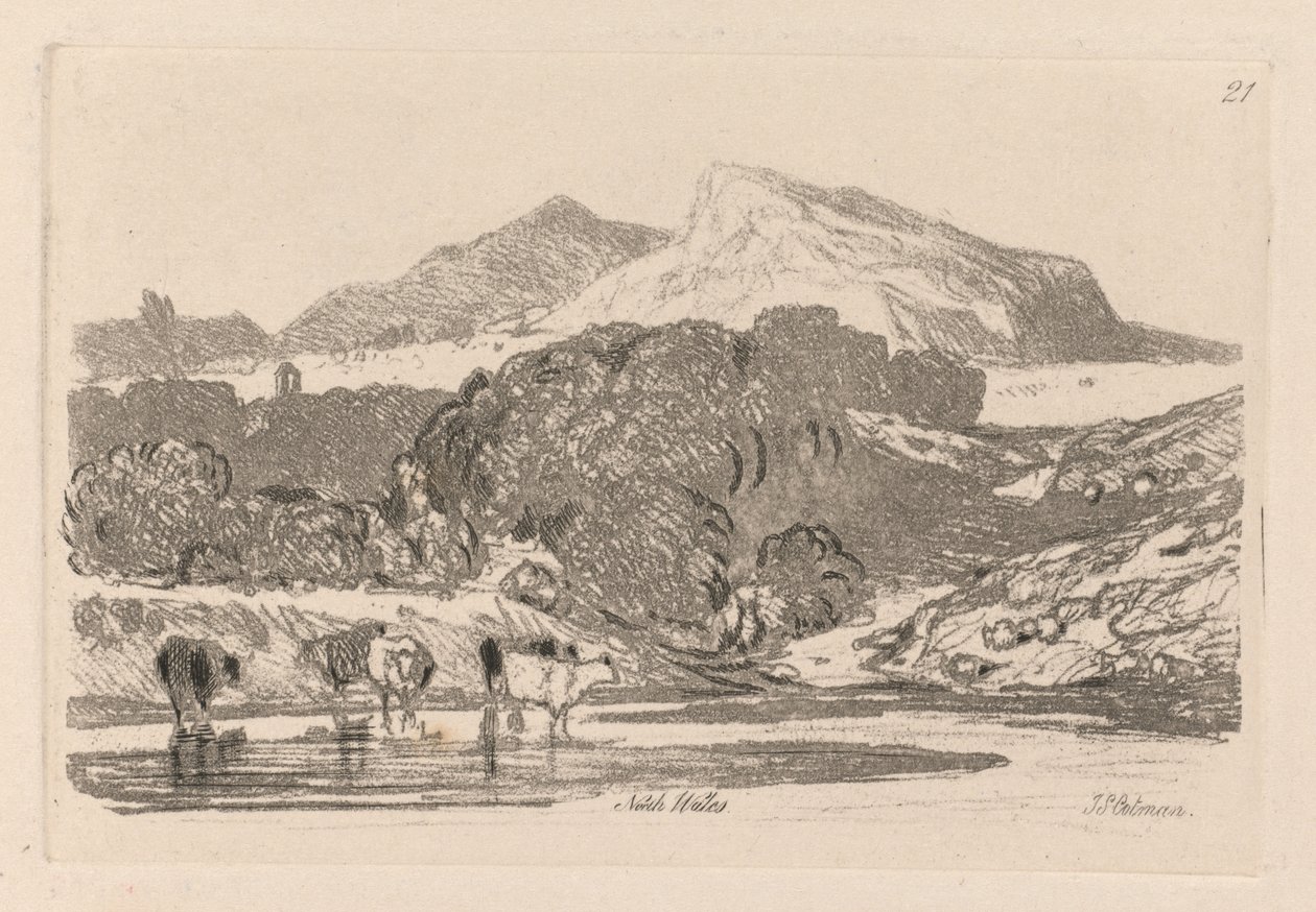 Liber Studiorum: Plate 21, Pohled v Severním Walesu, 1838. od John Sell Cotman