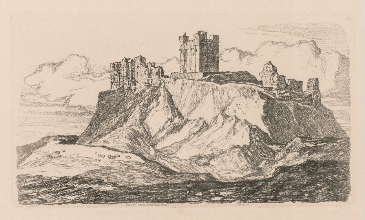 Kniha studií: Plate 30, Bambro
