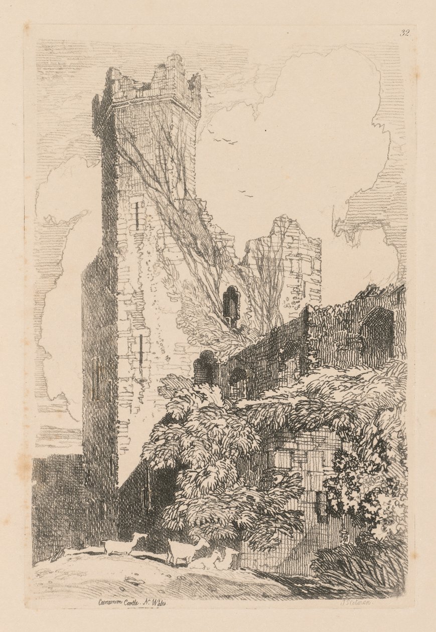 Liber Studiorum: Plate 32, Caernarvon Castle, N. Wales, 1838 od John Sell Cotman