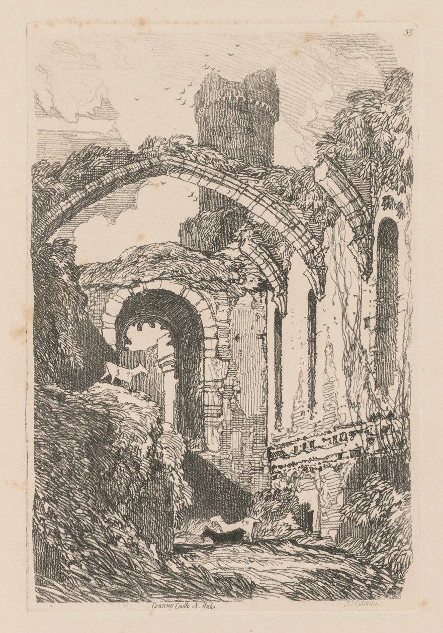 Book of Studies: Plate 33, Conway Castle, N. Wales od John Sell Cotman