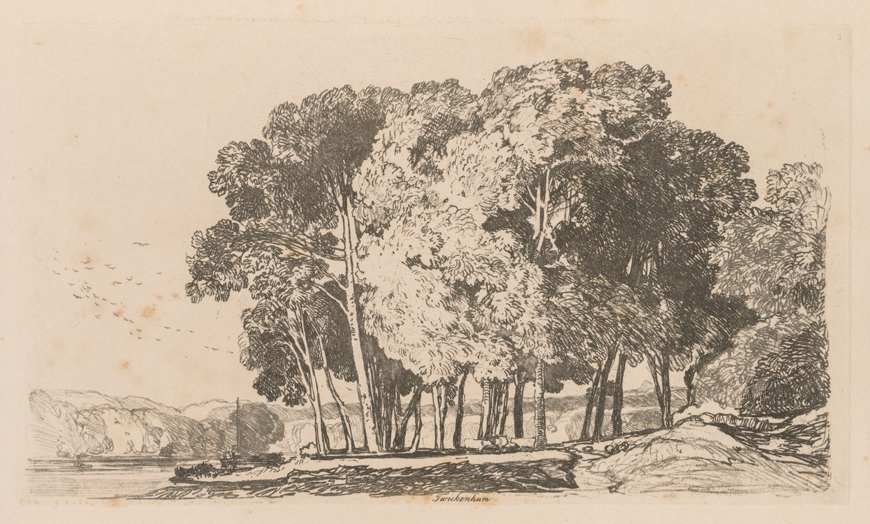 Liber Studiorum: Plate 3, Trees near Twickenham, 1838. od John Sell Cotman