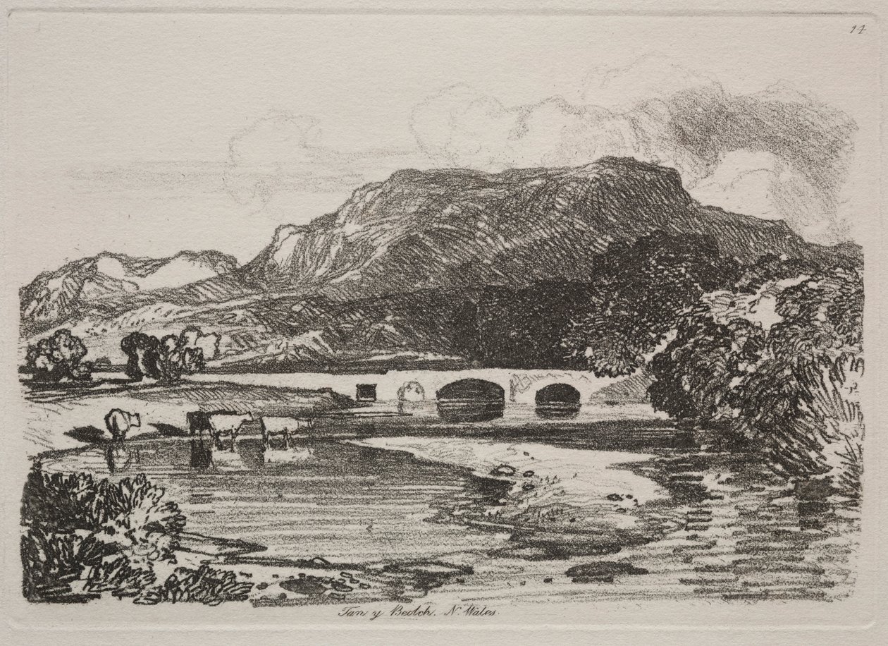Liber Studiorum: Tan y Beolch, Severní Wales, 1838. od John Sell Cotman