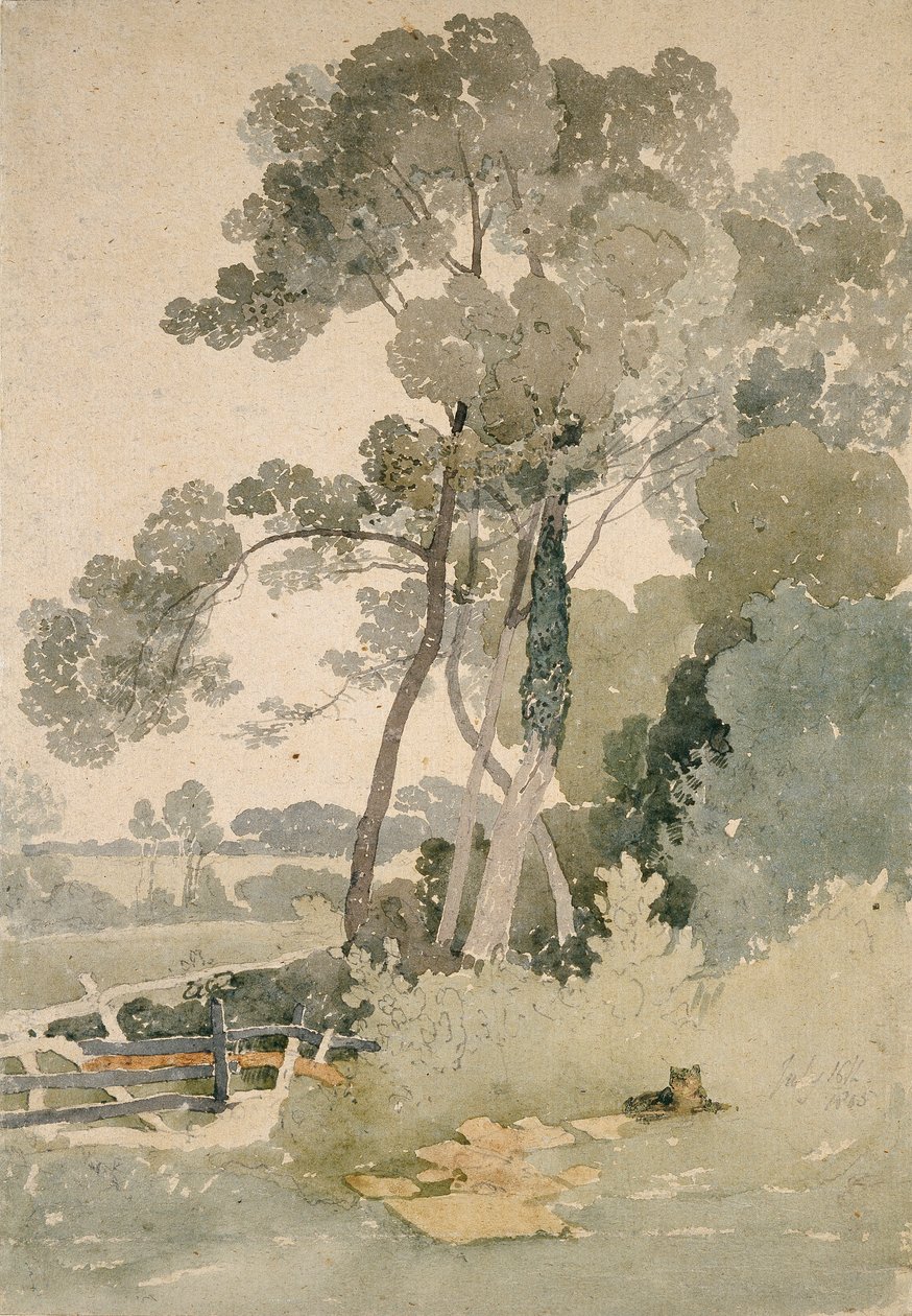 Poblíž Brandsby, Yorkshire, 1865 od John Sell Cotman