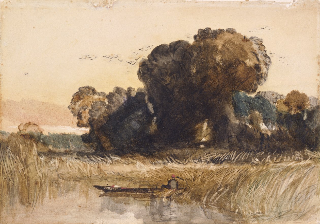 Punt mezi rákosím (akvarel a grafit na papíře) od John Sell Cotman