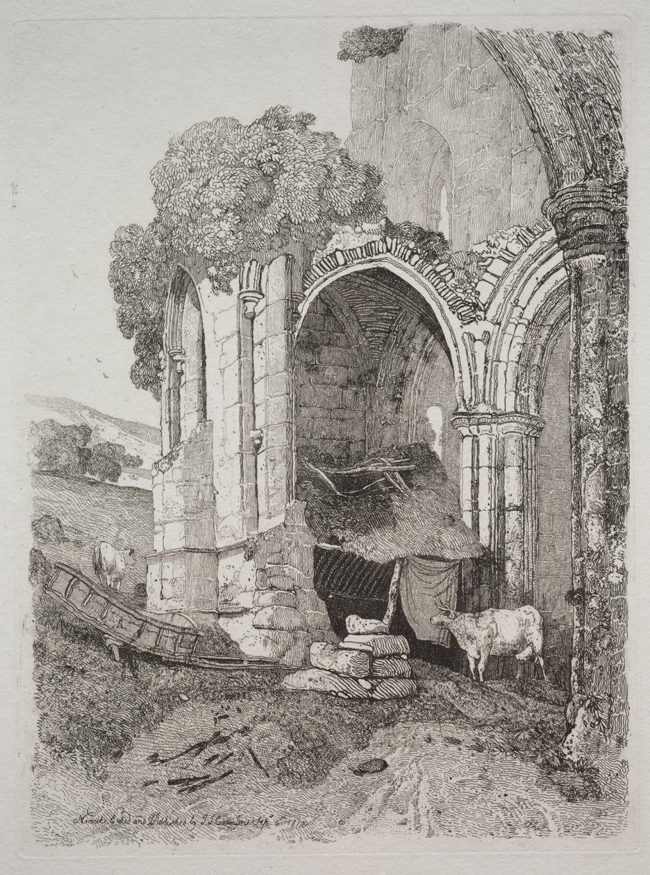 Opatství Rievaulx, Yorkshire od John Sell Cotman
