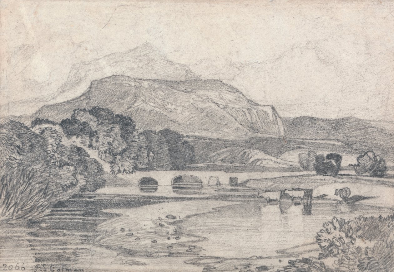 Tan-y-Bwlch, Severní Wales od John Sell Cotman