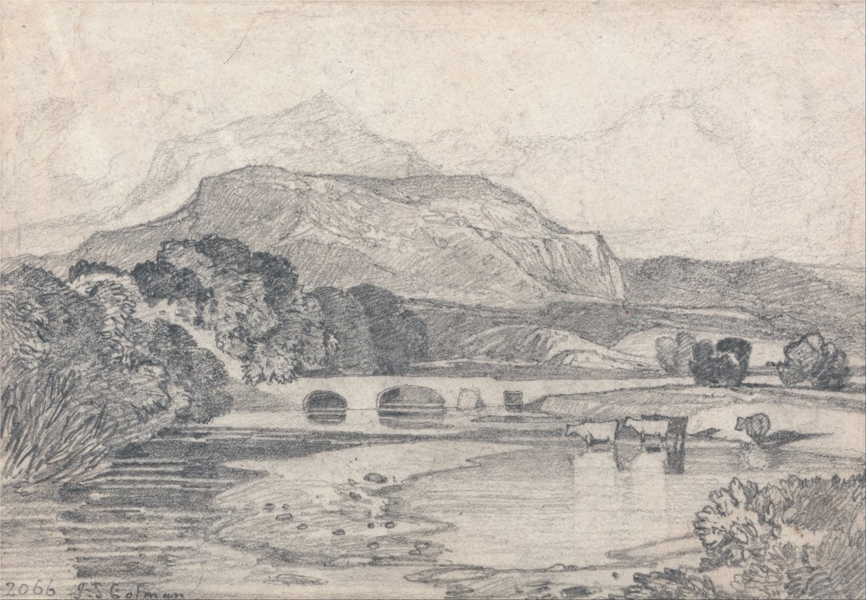 Tan-y-Bwlch, Severní Wales od John Sell Cotman