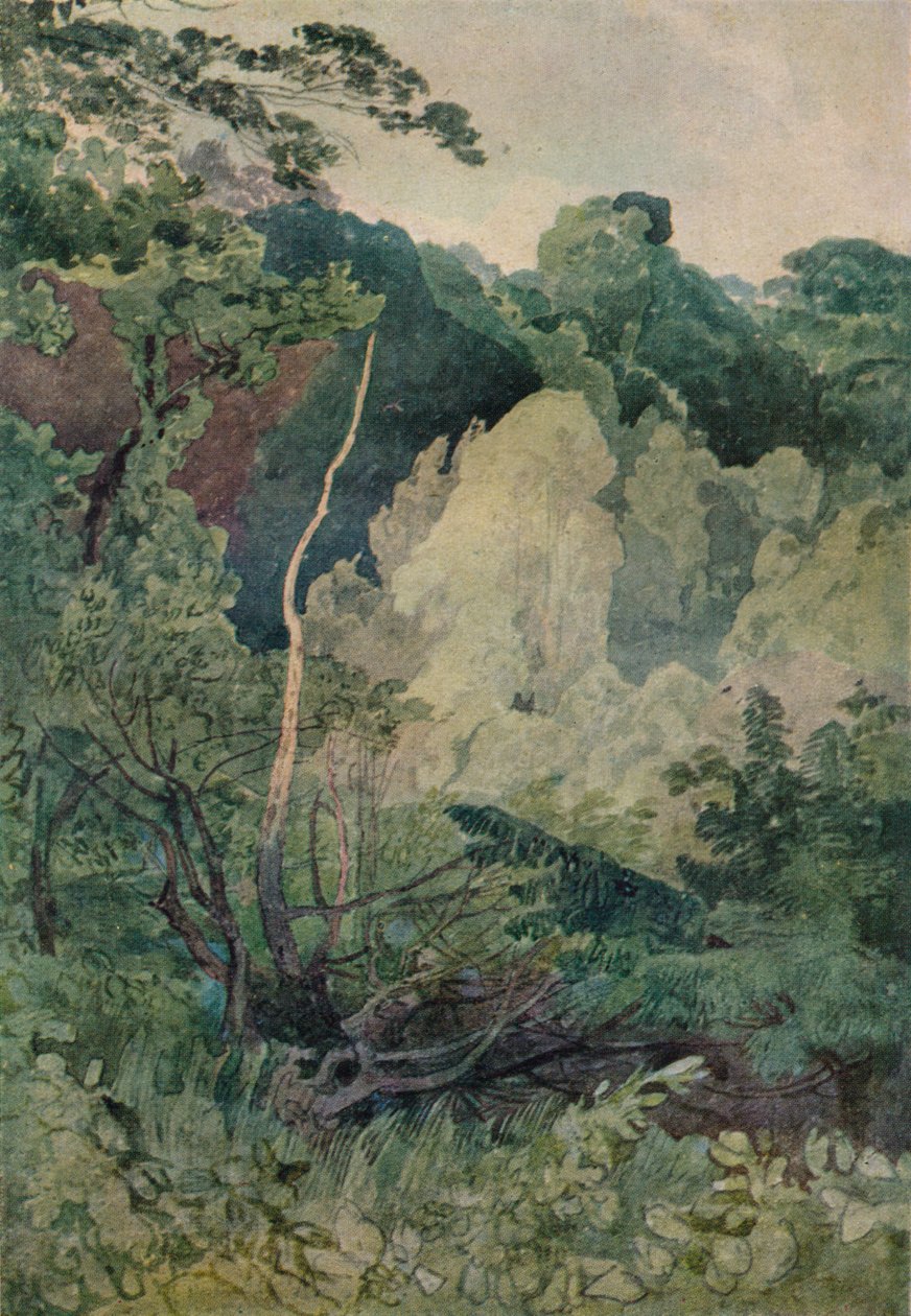 Stromy poblíž řeky Greta, c19. století od John Sell Cotman