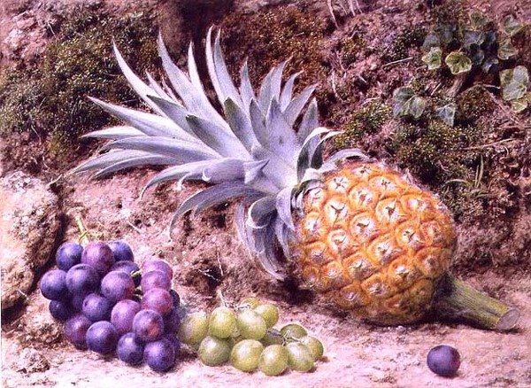 Ananas a hrozny na mechovém břehu od John Sherrin