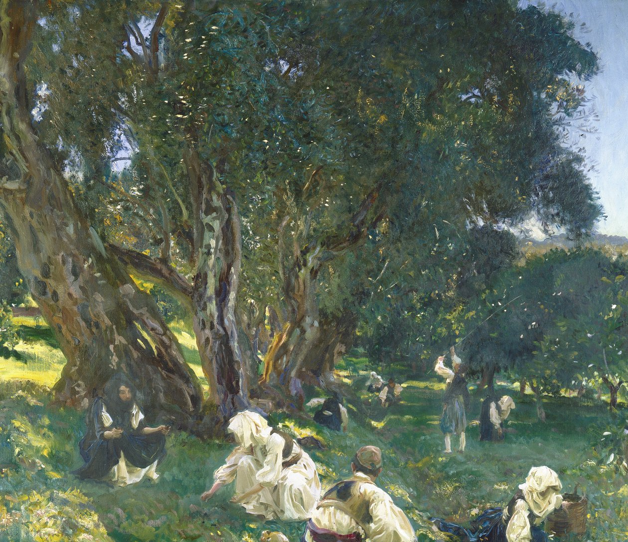 Albánští sběrači oliv od John Singer Sargent