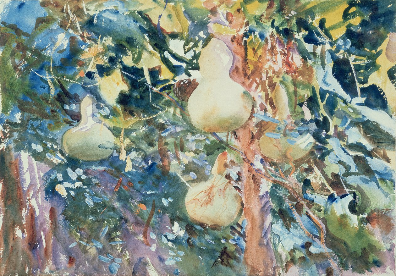 Tykve, cca 1905 (wc na papíře) od John Singer Sargent
