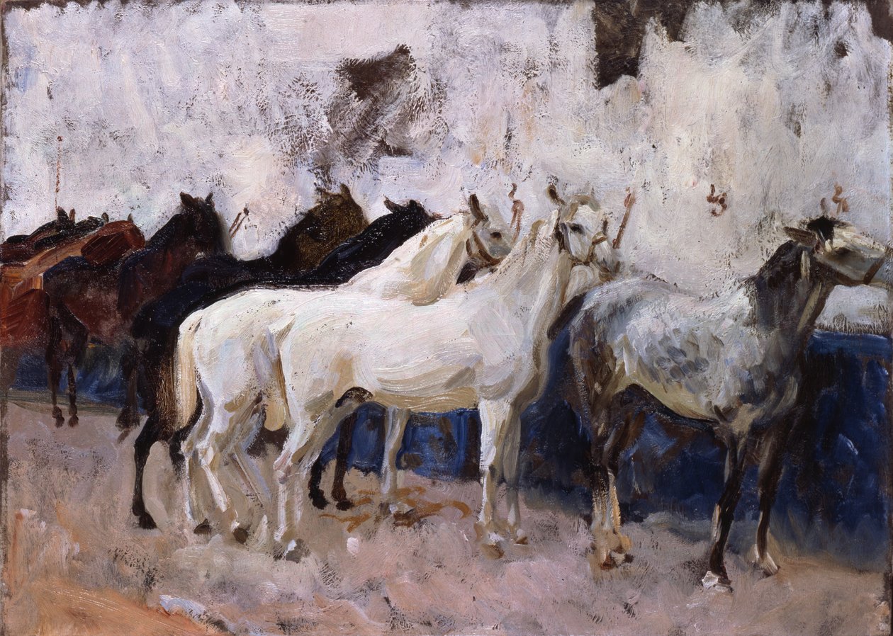 Koně v Palmě, Mallorca, Španělsko, 1908 od John Singer Sargent