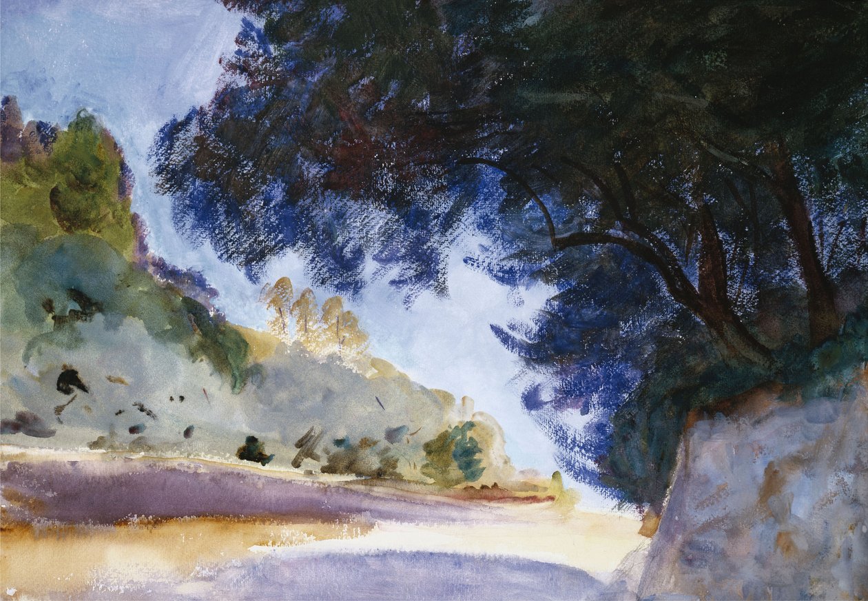 Krajina, Olivovníky, Korfu, 1909 od John Singer Sargent
