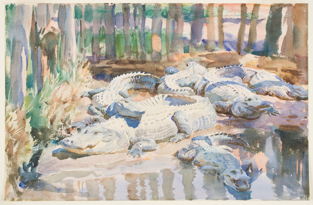 Muddy Alligators, 1917 (wc přes grafit na papíře) od John Singer Sargent