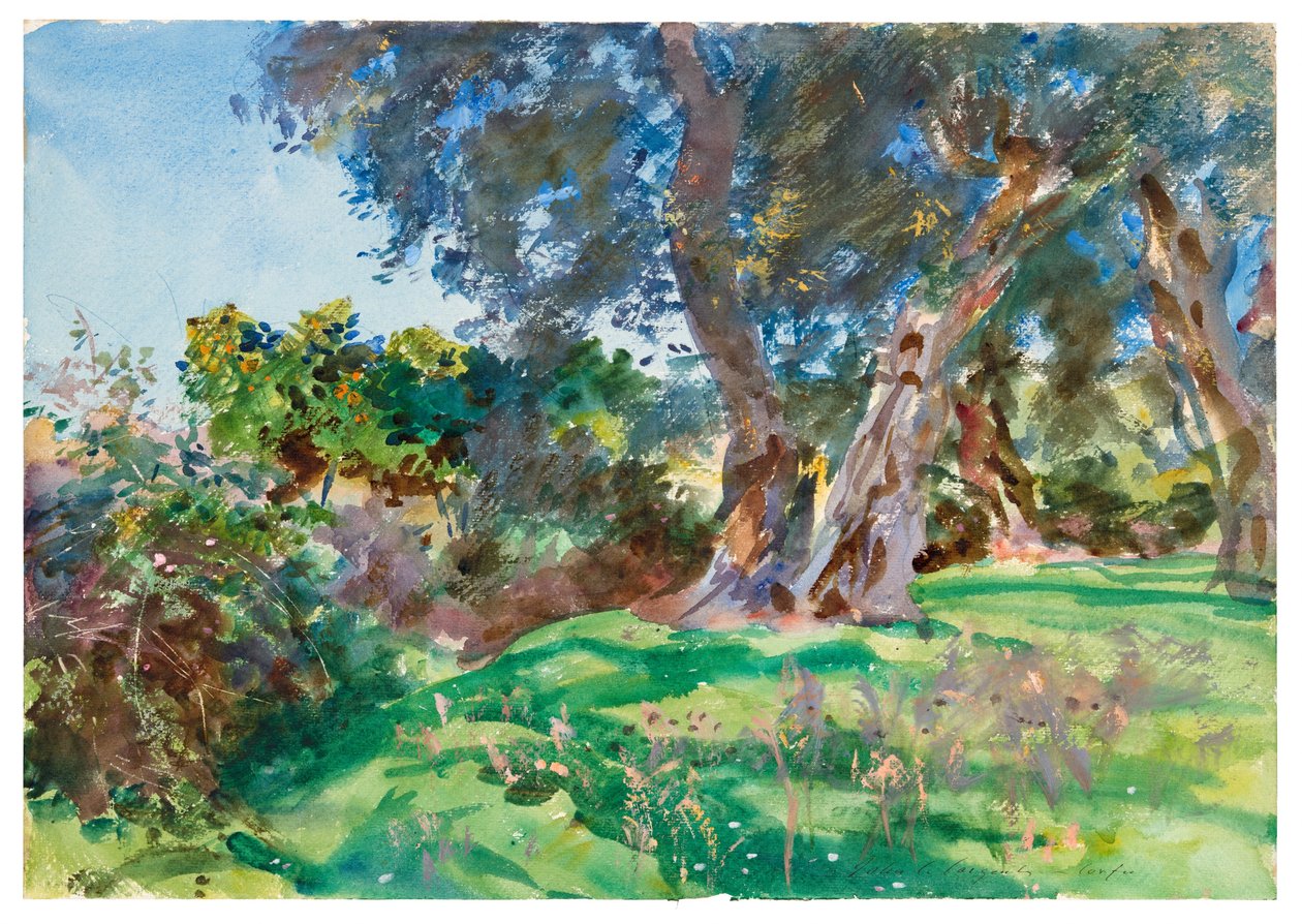 Olivovníky, Korfu od John Singer Sargent