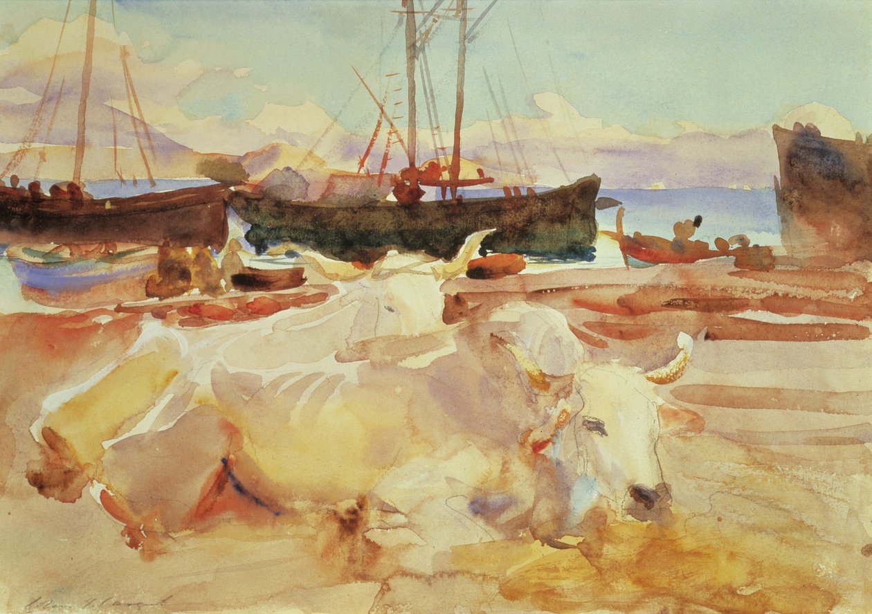 Oxen on the Beach at Baia, c.1908 (wc na papíře) od John Singer Sargent
