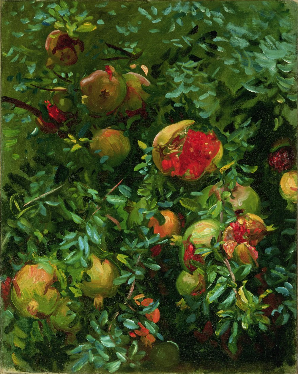 Granátová jablka, Mallorca, kolem roku 1908 od John Singer Sargent