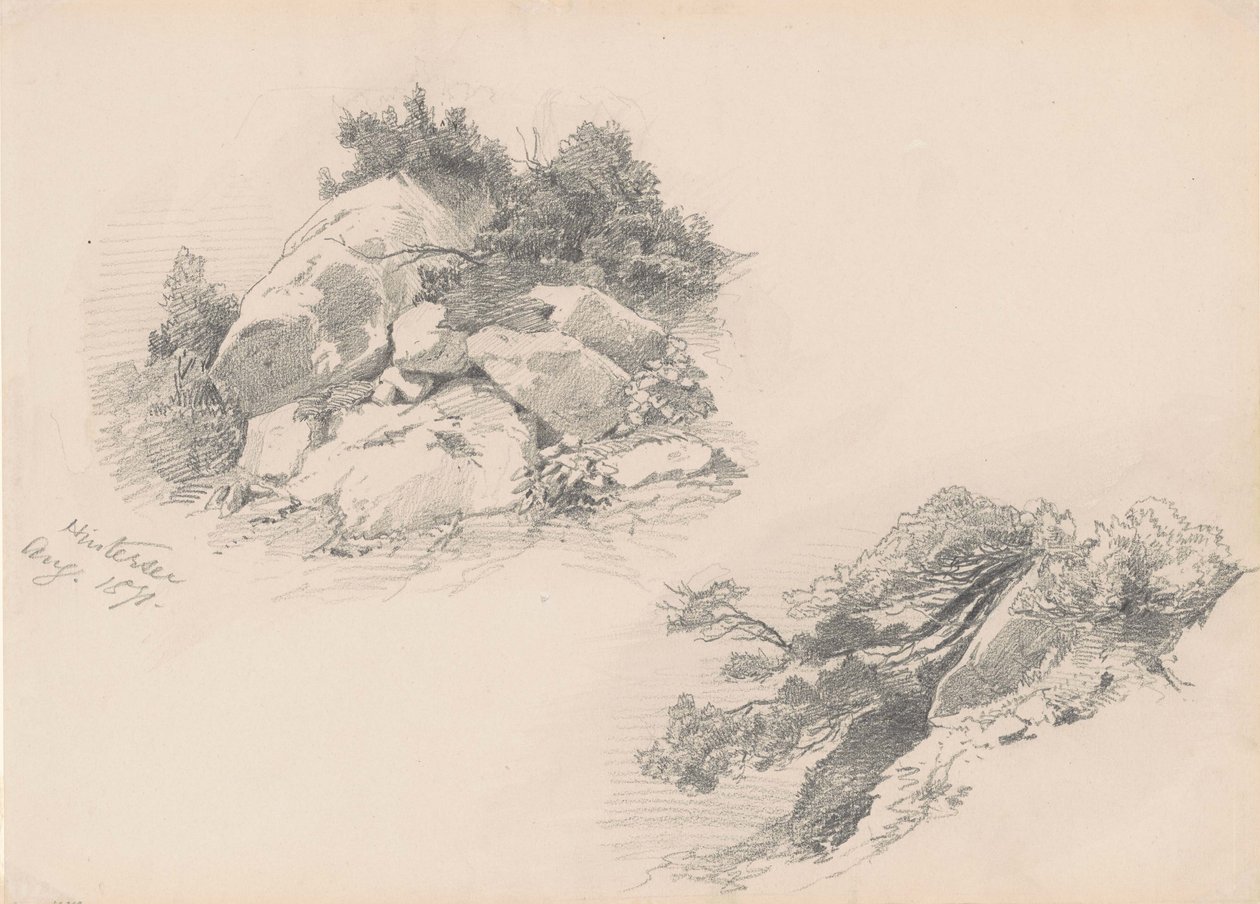 Rocks and Brush, Hintersee, Německo, 1871 (grafit na tkaném papíru) od John Singer Sargent