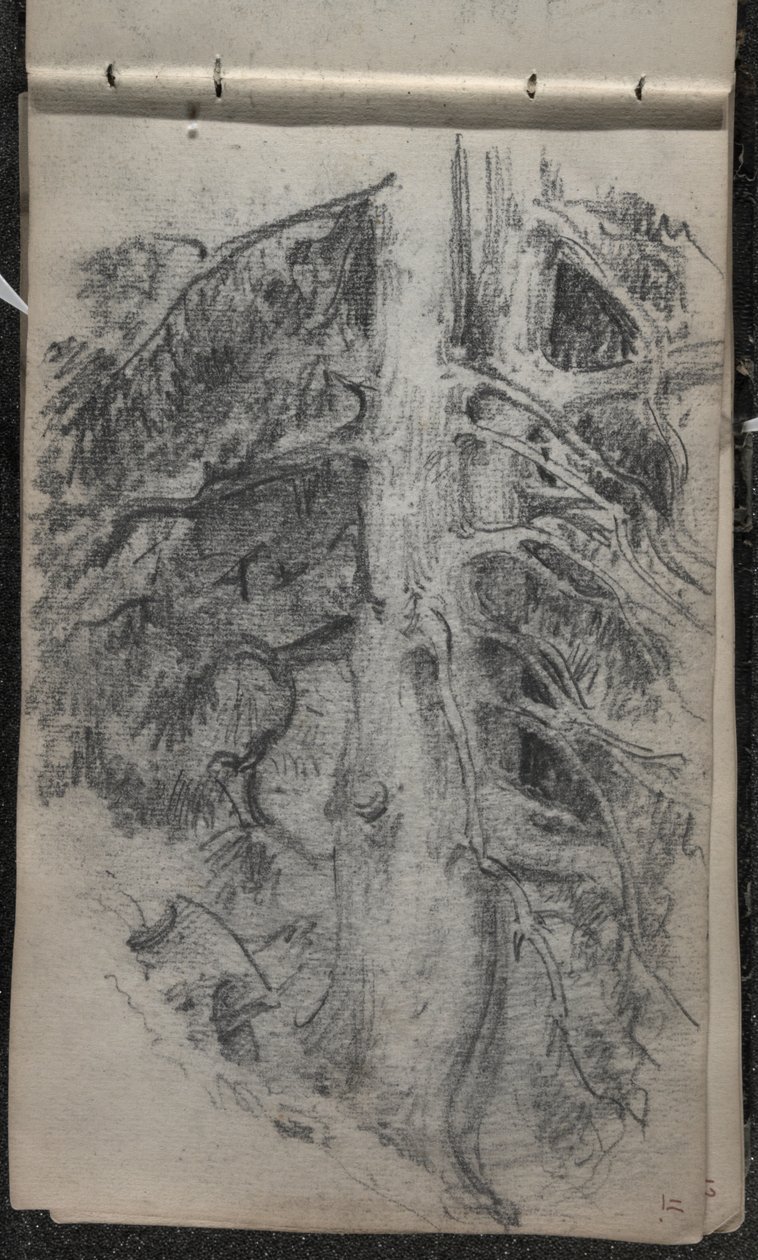 Studie stromu, 1871-72 (grafit na tmavém šedobílém tkaném papíru) od John Singer Sargent