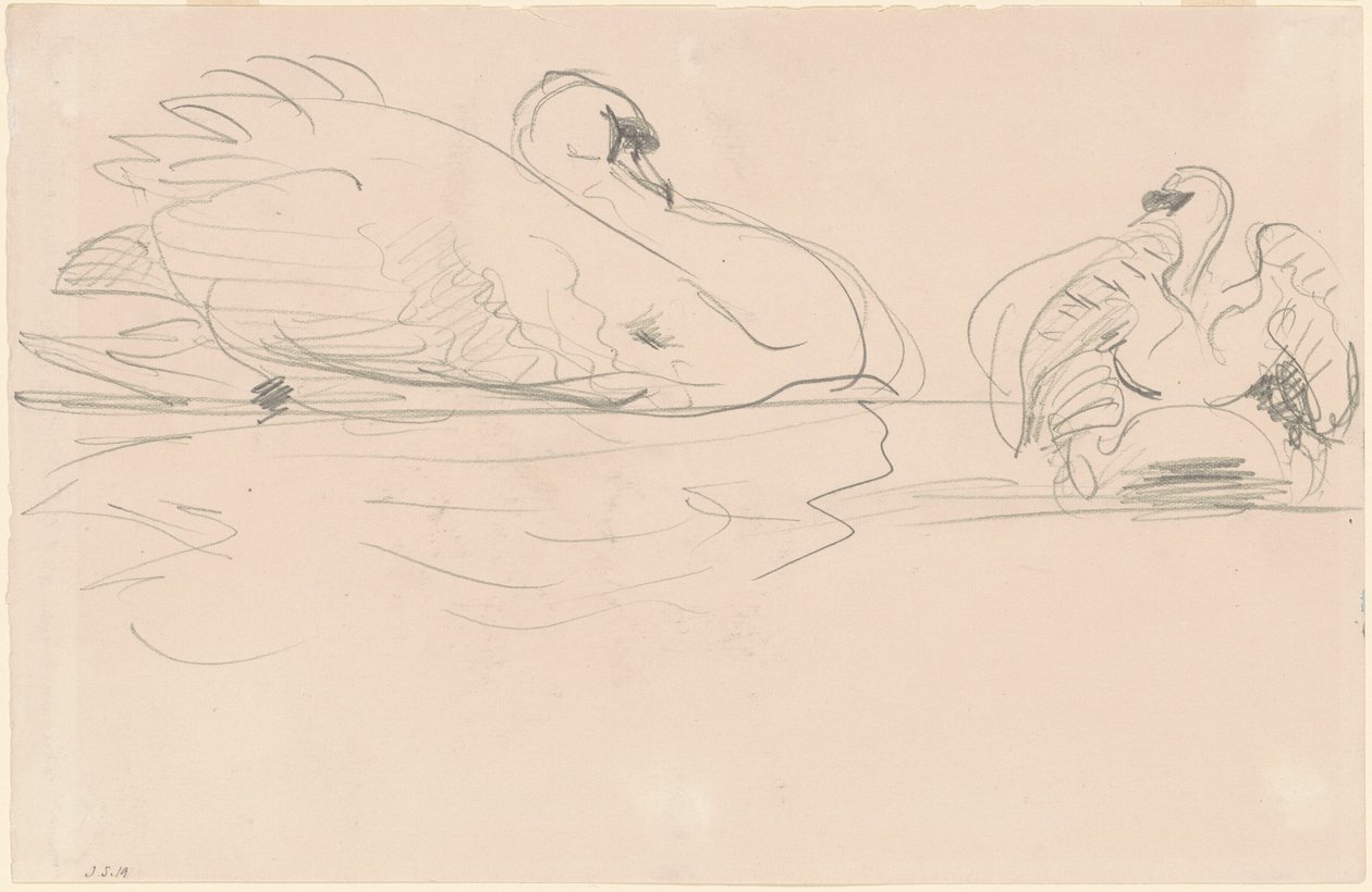 Labutě ve vodě od John Singer Sargent