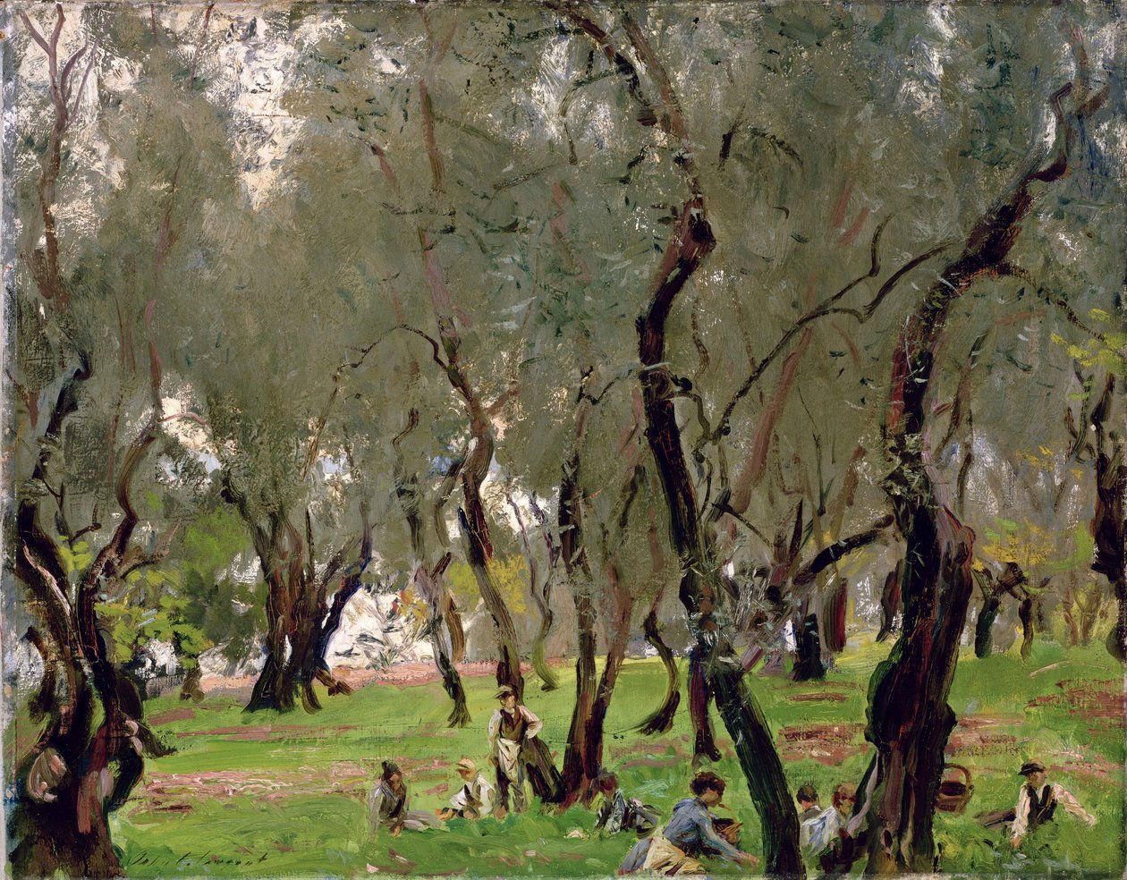 Olivový háj, kolem roku 1910 (olej na plátně) od John Singer Sargent
