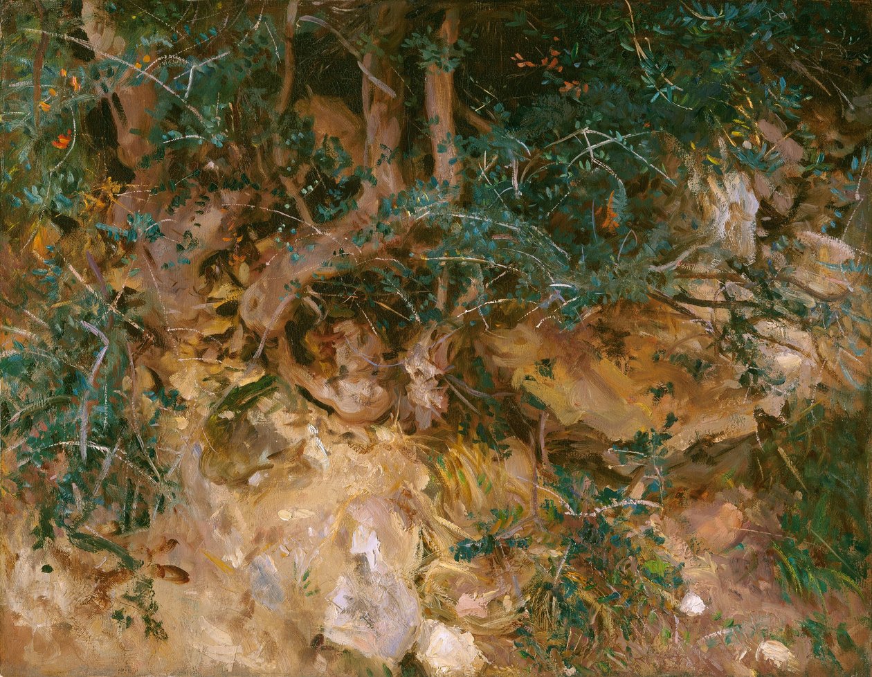Valdemosa, Mallorca: Bodláky a byliny na svahu, 1908. od John Singer Sargent