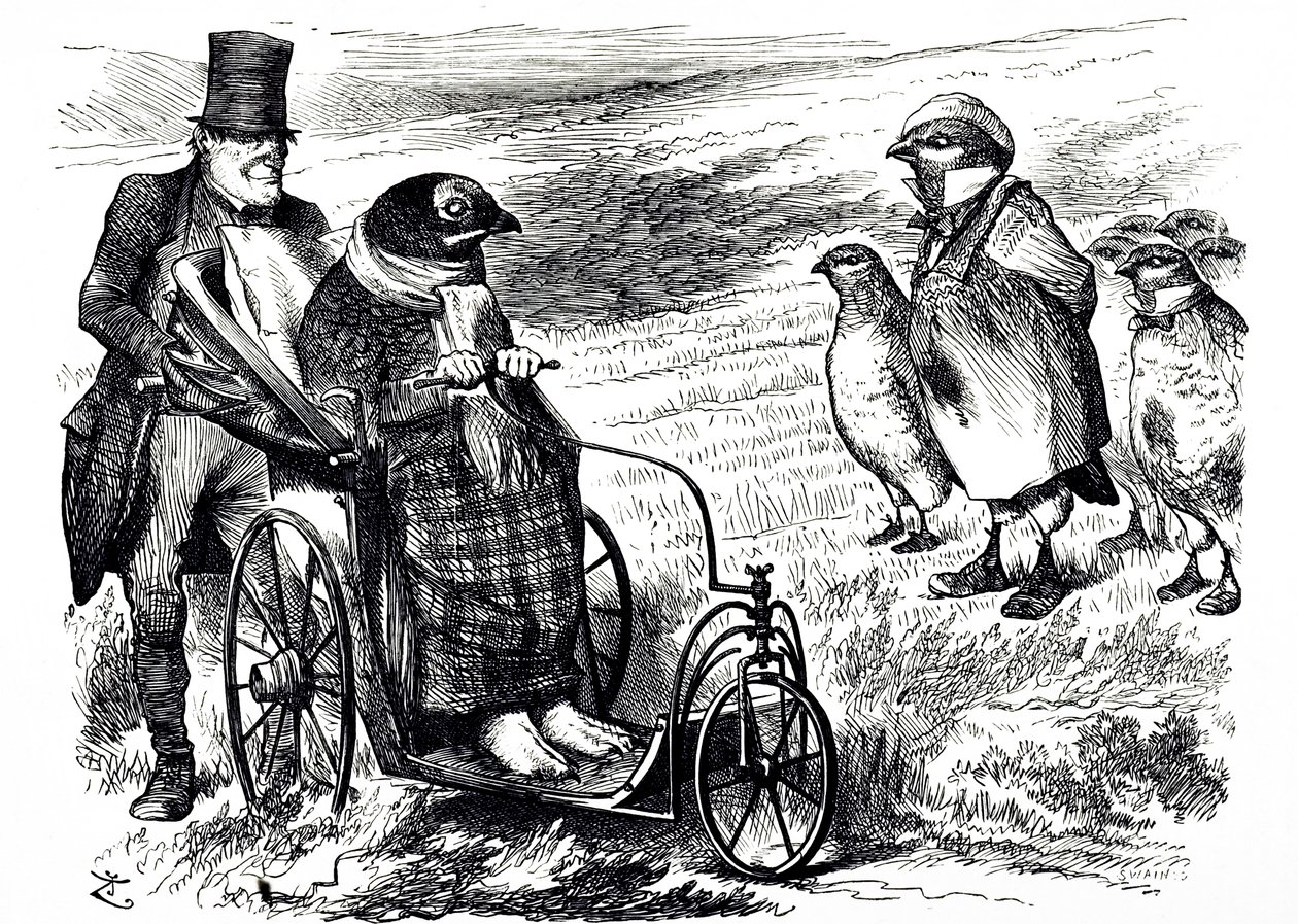 Karikatura komentující pozastavení Grouse Shooting, aby se zásoby mohly znovu postavit. Ilustroval John Tenniel (1820-1914), anglický ilustrátor, grafický humorista a politický karikaturista od John Tenniel