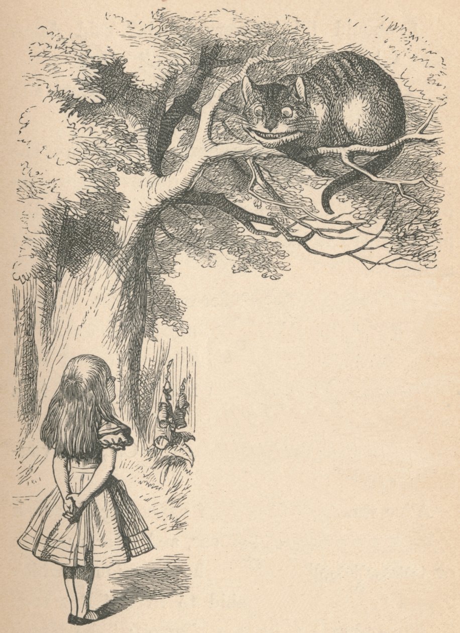 Alice a Cheshire Cat, 1889 od John Tenniel