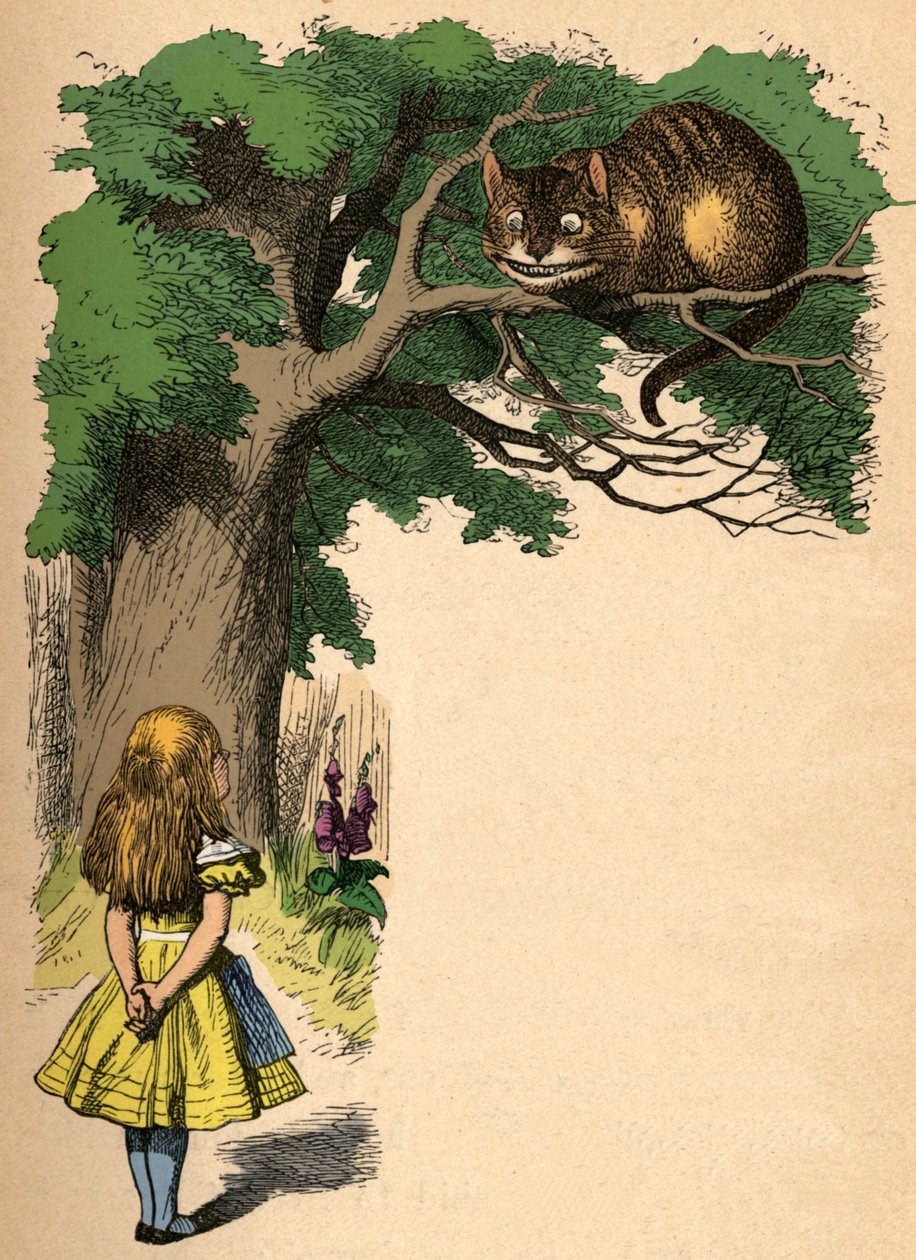 Alice a Cheshire Cat, 1889 od John Tenniel