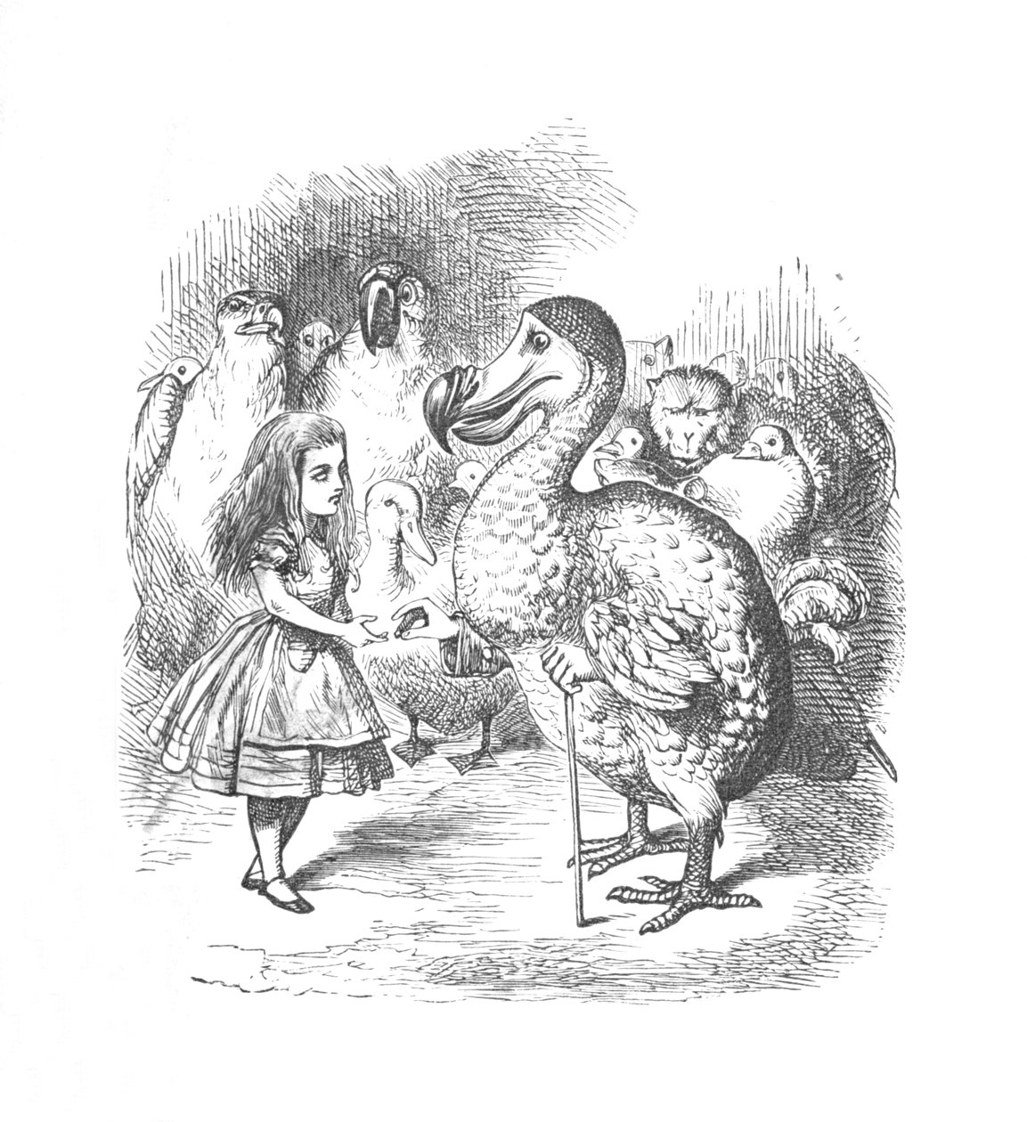 Alice a Dodo, 1889 od John Tenniel