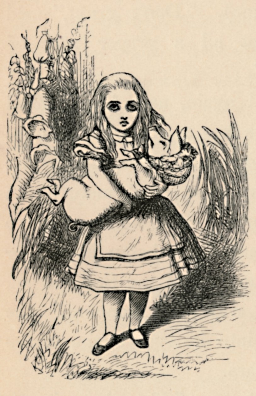 Alice držící prase v náručí, 1889 od John Tenniel
