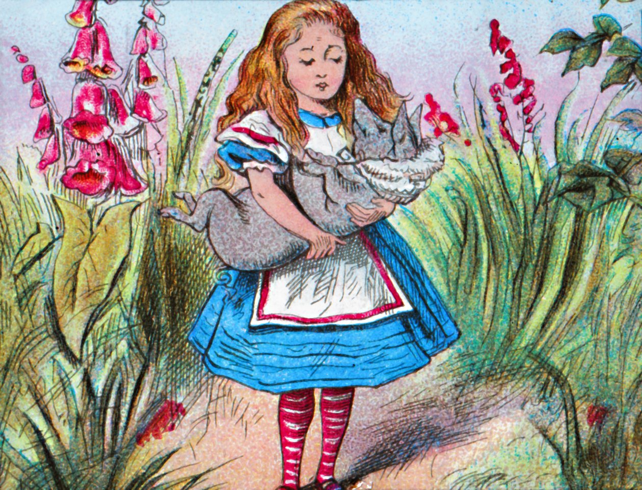 Alice drží prase v náručí., c1910. od John Tenniel