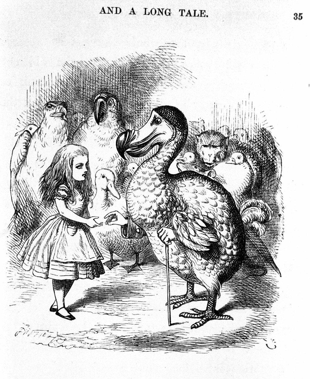 Alenka v říši divů: setkání s Alenkou s dodo od Lewise Carrolla, ilustrace prvního vydání od Tenniela od John Tenniel