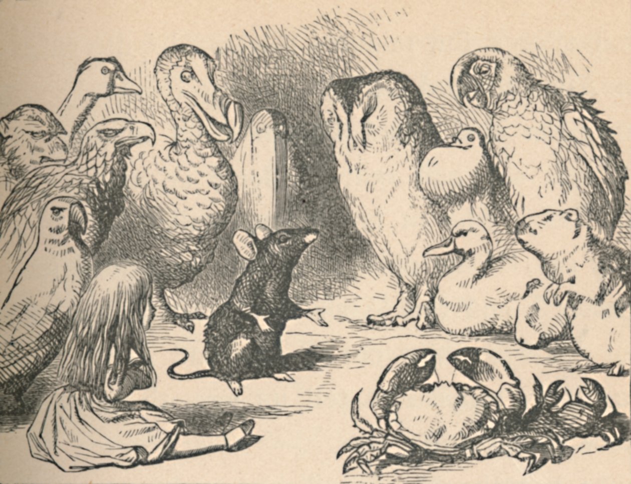 Ilustrace pro kapitolu Caucus-Race a dlouhý ocas. Alice a různé bytosti, jako např od John Tenniel