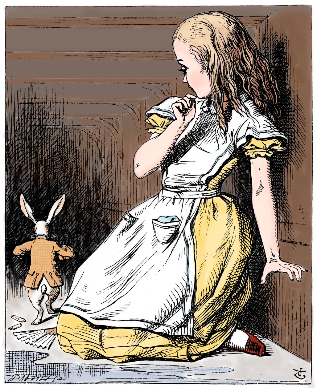Scéna z Alenčina dobrodružství v říši divů od Lewise Carrolla, 1865 od John Tenniel