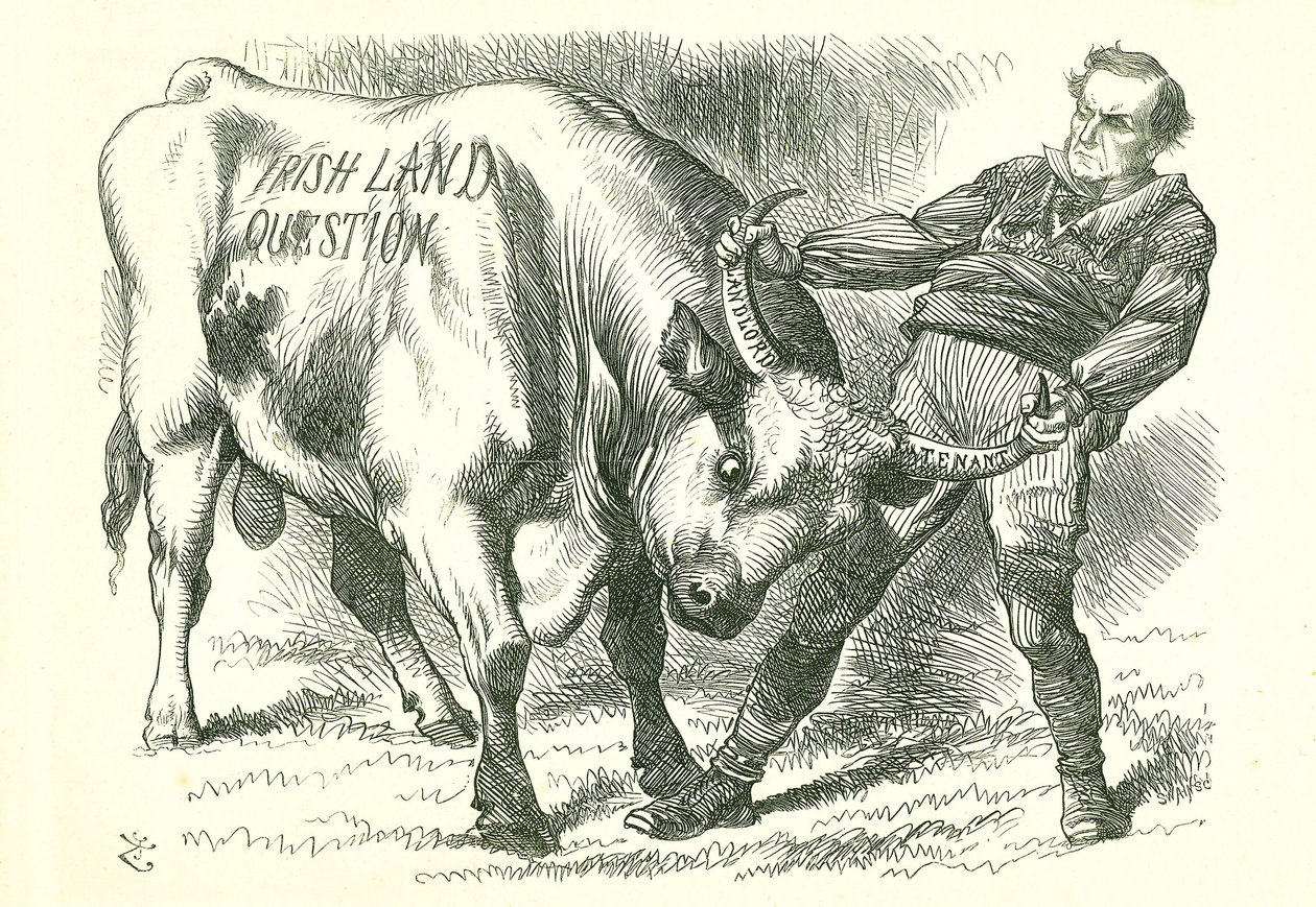 Vzít (irského) býka za rohy: Návrh zákona prošel parlamentem 15. února 1870 a získal královský souhlas 8. července. William Gladstone, předseda vlády, zabývající se tímto problémem. John Tenniel karikatura z Punch, Londýn, 26. února 1870. od John Tenniel
