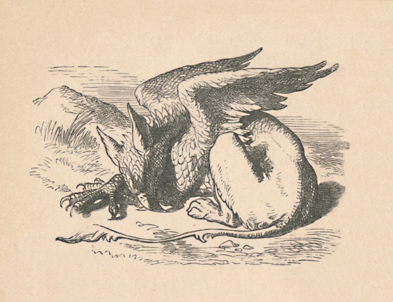 Gryphon spí na slunci, 1889 od John Tenniel