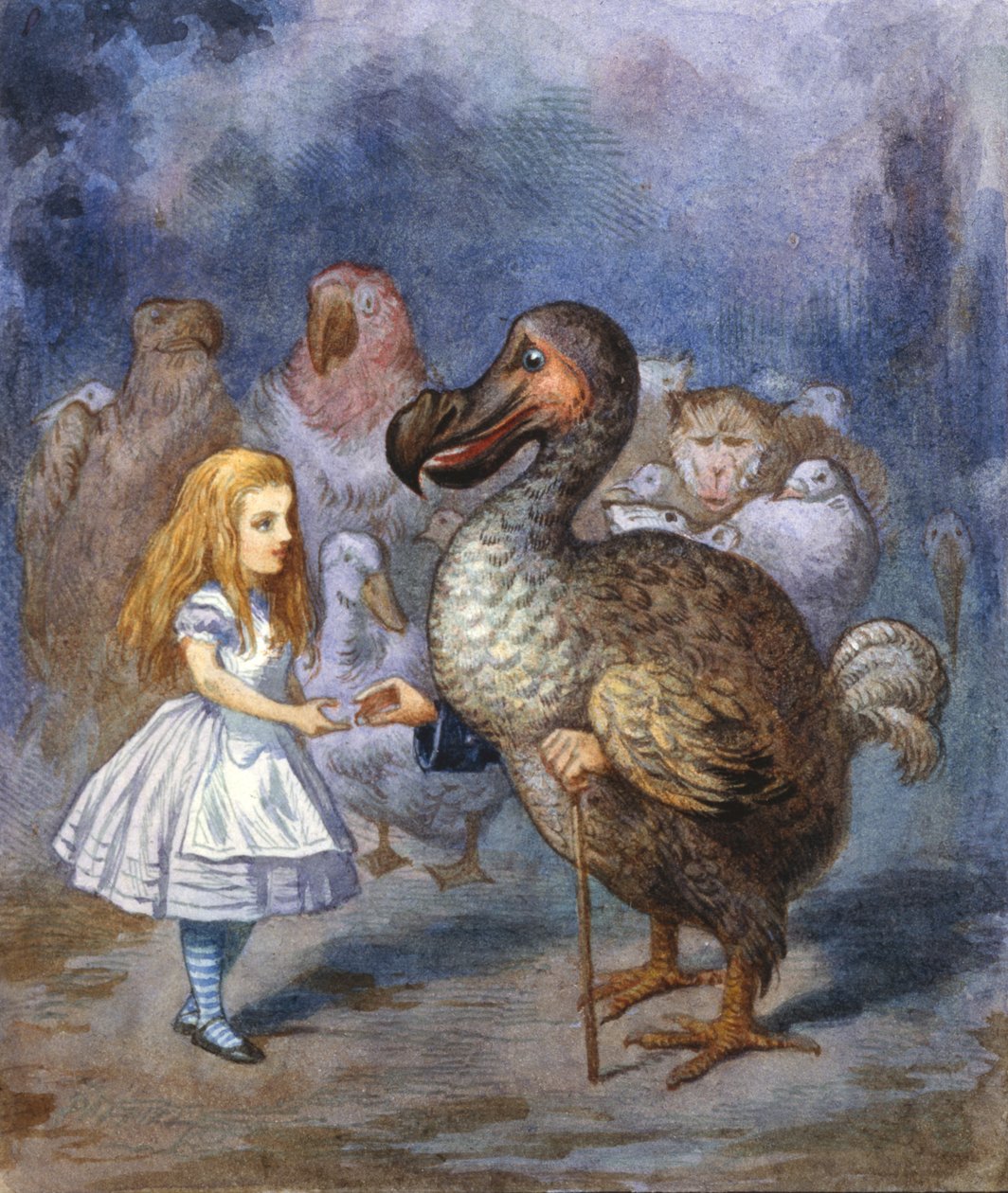Neznámý obrázek od John Tenniel