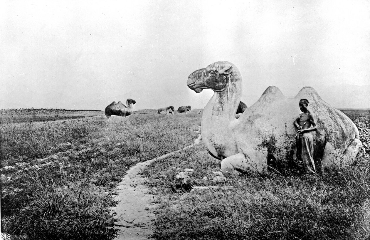 Čína, vyřezávaní velbloudi císařské cesty, asi 1870 (foto) od John Thomson