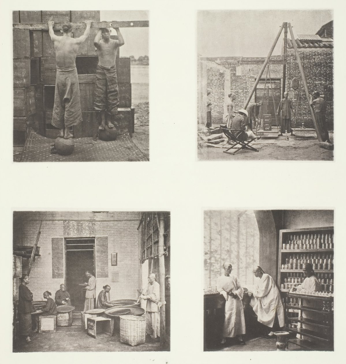 Rolovací voňavé kapary a čaje se střelným prachem, vážení čaje pro export, Čajovna..., c. 1868. od John Thomson