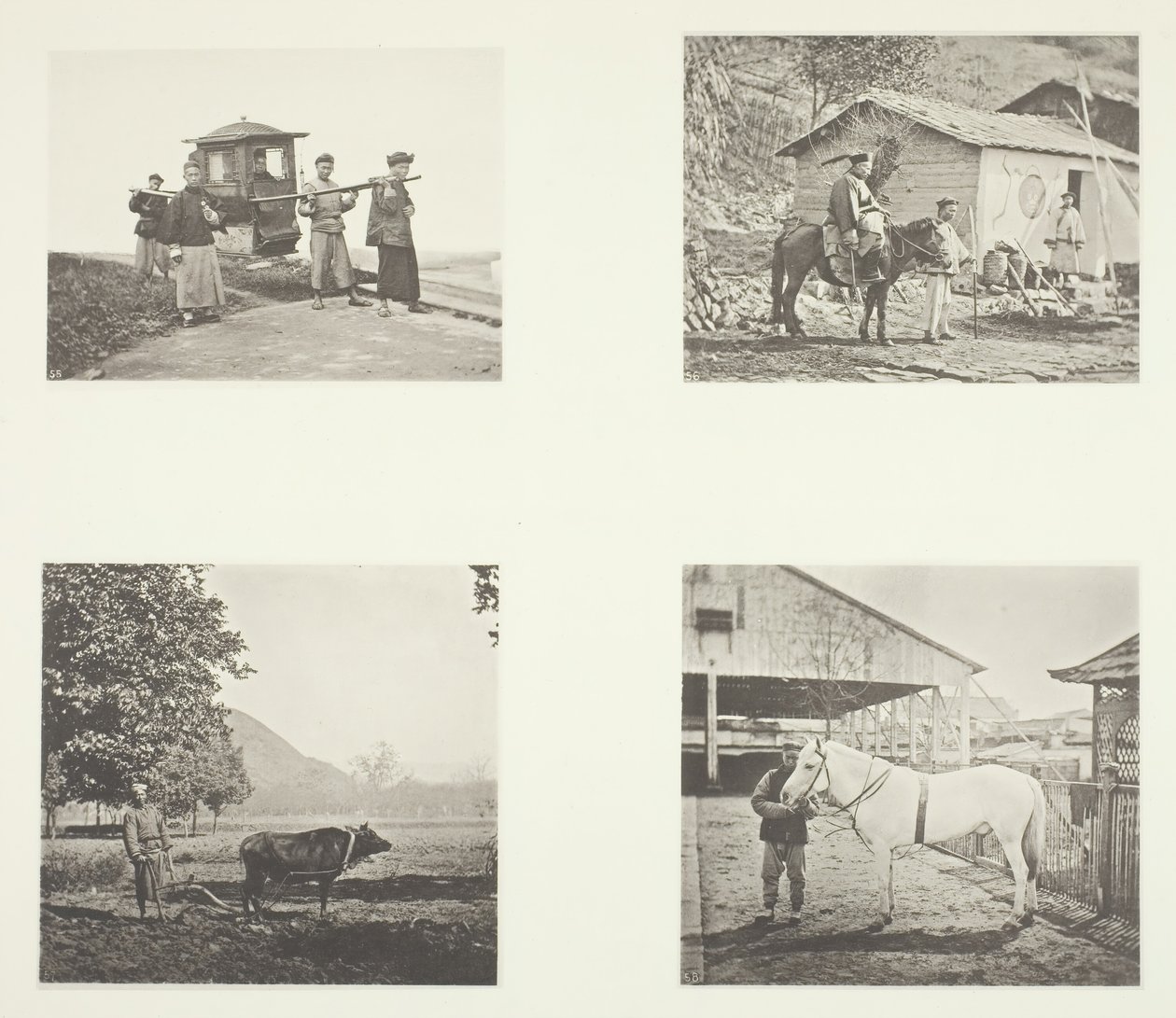 Sedan, vojenský důstojník, pluh, severočínský poník, c. 1868. od John Thomson