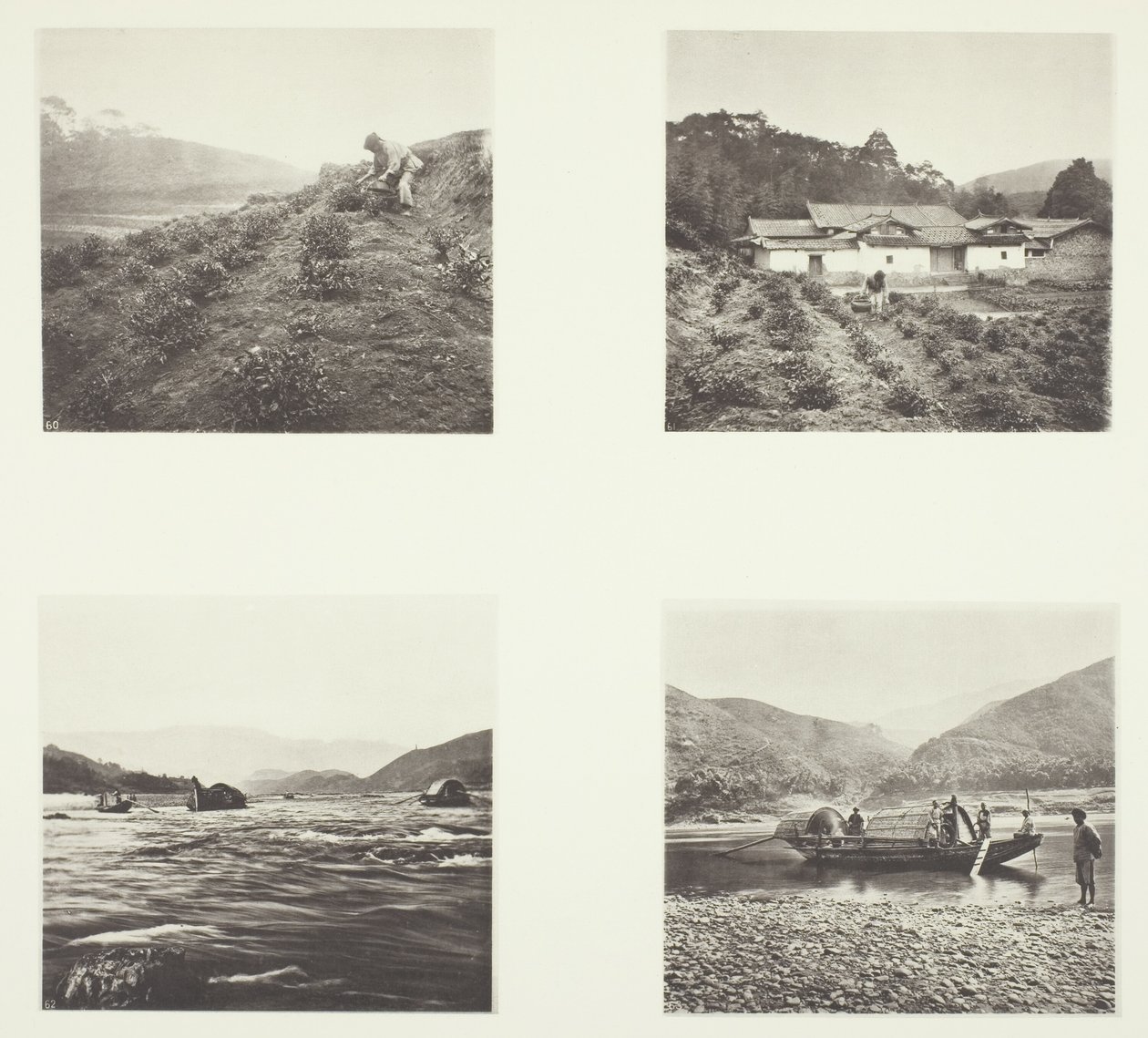 Čajový závod; Čajový závod; Yenping Rapids; Malý rychlý člun od John Thomson