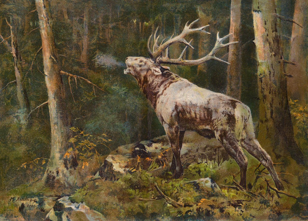  od John Trivett Nettleship