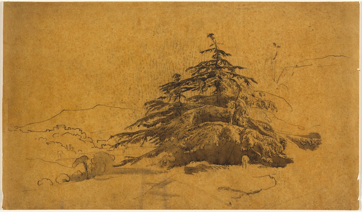 Studie von Bäumen in einer Landschaft od John Varley