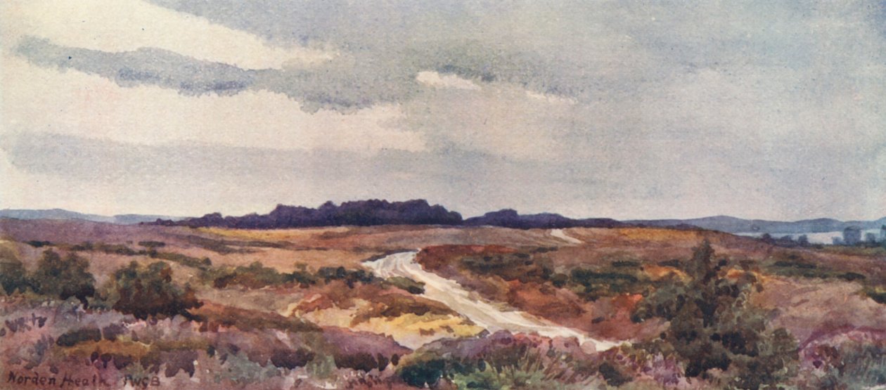 Norden Heath (barevná litografie) od John W.G. Bond