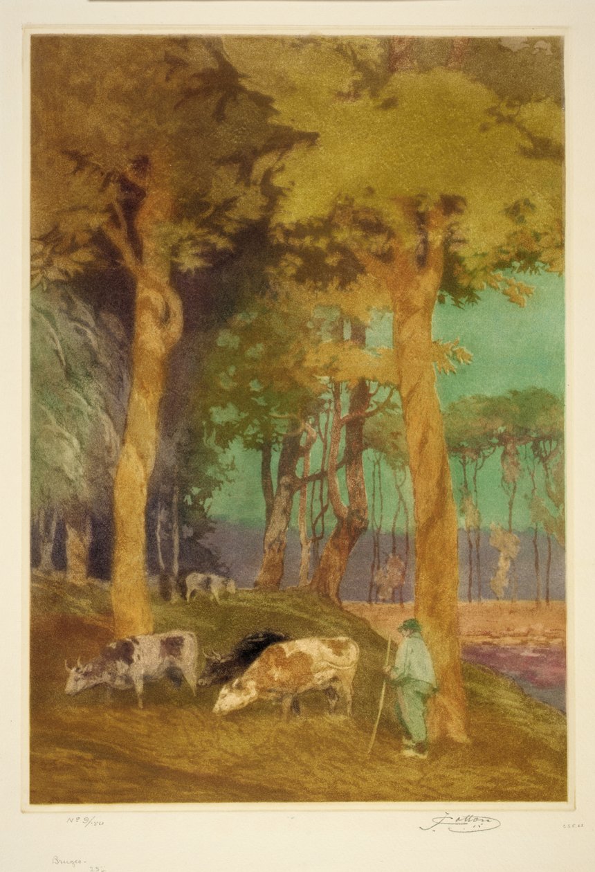 Bruggy od John W. Cotton